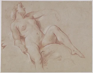 Nudo femminile su un delfino