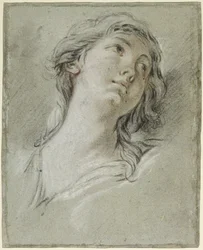 Testa di donna