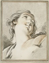 Testa di donna