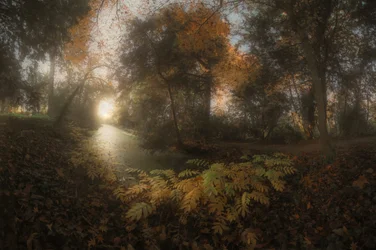 Sentiero della Foresta Dorata