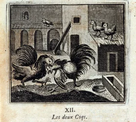I due galli. Favole di Jean de La Fontaine (1621-95). Illustrazione di François Chauveau (1613-1676). Edizione del 1728.
