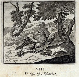 Aquila e lumaca