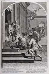 Illustrazione da 