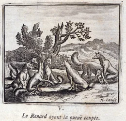 Illustrazione dalle 
