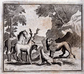 Illustrazione dalle 