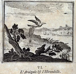 Il Ragno e la Rondine. Favole di Jean de La Fontaine (1621-95). Illustrazione di François Chauveau (1613-1676). Edizione del 1728