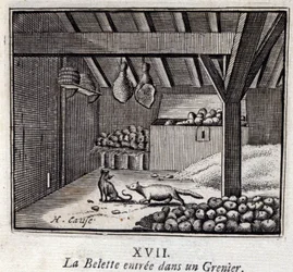 La donnola entrò in un granaio. Favole di Jean de La Fontaine. Illustrazione di François Chauveau. Edizione del 1728.