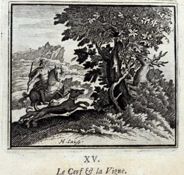 Il Cervo e la Vite. Favole di Jean de La Fontaine (1621-95). Illustrazione di François Chauveau (1613-1676). Edizione del 1728