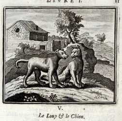 Il lupo e il cane