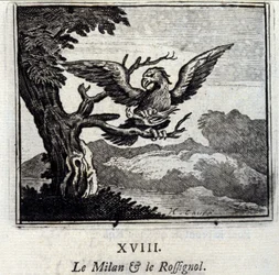 Il milano e l