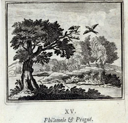 Filomela e Progne. Favole di Jean de La Fontaine. Illustrazione di François Chauveau. Edizione del 1728