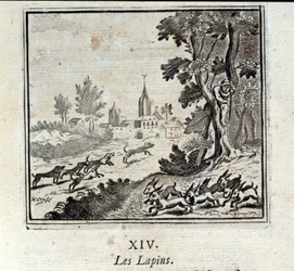 Conigli. Favole di Jean de La Fontaine (1621-95). Illustrazione di François Chauveau (1613-1676). Edizione del 1728
