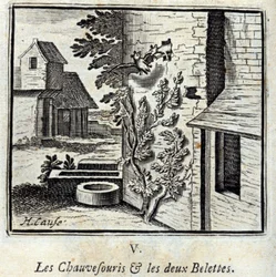 Il pipistrello e le due donnole. Favole di Jean de La Fontaine. Illustrazione di François Chauveau. Edizione del 1728