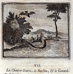 Il pipistrello, il cespuglio e l