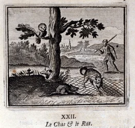 Il gatto e il topo