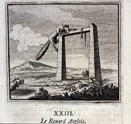 La volpe inglese. Favole di Jean de La Fontaine (1621-95). Illustrazione di François Chauveau (1613-1676). Edizione del 1728.