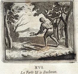 La foresta e il boscaiolo