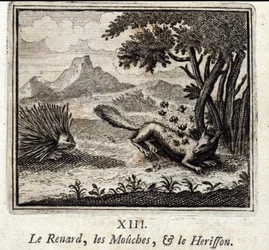 La volpe, le mosche e il riccio