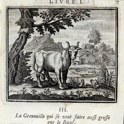 La Rana che vuole diventare grande come il Bue. Favole di Jean de La Fontaine (1621-95). Illustrazione di François Chauveau (1613-1676). Edizione del 1728