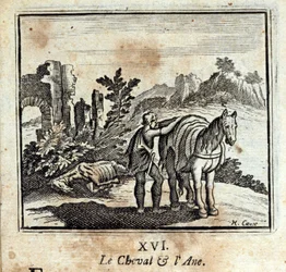Il cavallo e l