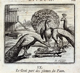 La ghiandaia si adorna di piume di pavone. Favole di Jean de La Fontaine (1621-95). Illustrazione di François Chauveau (1613-1676). Edizione del 1728.