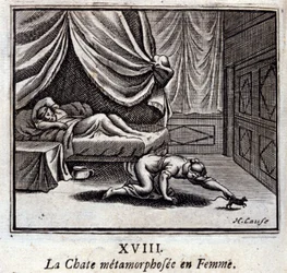 Il Gatto trasformato in Donna. Favole di Jean de La Fontaine (1621-95). Illustrazione di François Chauveau (1613-1676). Edizione del 1728