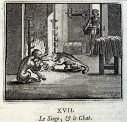 La scimmia e il gatto