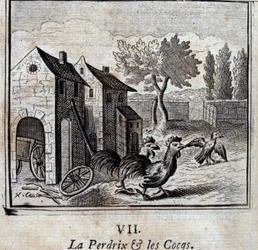 La pernice e i galli. Favole di Jean de La Fontaine (1621-95). Illustrazione di François Chauveau (1613-1676). Edizione del 1728.