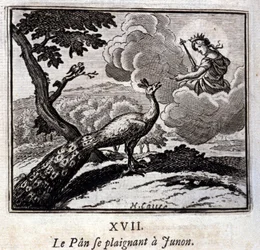 Il pavone che si lamenta con Giunone. Favole di Jean de La Fontaine (1621-95). Illustrazione di François Chauveau (1613-1676). Edizione del 1728.