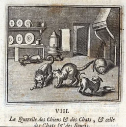 La querelle tra cani e gatti, e quella tra gatti e topi. Favole di Jean de La Fontaine. Illustrazione di François Chauveau. Edizione del 1728.