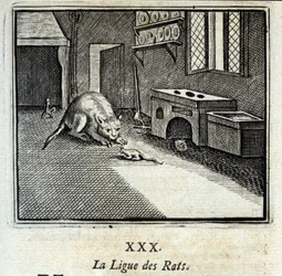 La Lega dei Ratti. Favole di Jean de La Fontaine (1621-95). Illustrazione di François Chauveau (1613-1676). Edizione del 1728