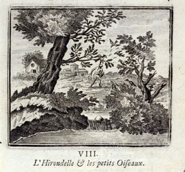 La rondine e i piccoli uccelli. Favole di Jean de La Fontaine. Illustrazione di François Chauveau. Edizione del 1728.