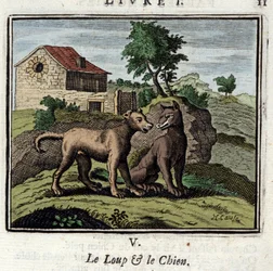 Il lupo e il cane. Favole di Jean de La Fontaine (1621-1695). Illustrazione di Francois Chauveau (1613-1676). Edizione del 1728
