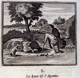 Il lupo e l