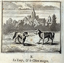 Il lupo e il cane magro