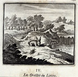 Le orecchie della lepre. Favole di Jean de La Fontaine. Illustrazione di François Chauveau. Edizione del 1728.