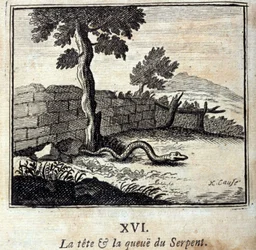 La testa e la coda del serpente. Favole di Jean de La Fontaine (1621-95). Illustrazione di François Chauveau (1613-1676). Edizione del 1728.
