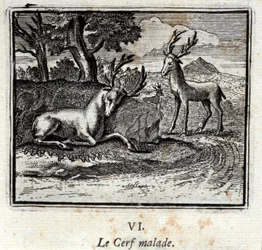 Il cervo malato. Favole di Jean de La Fontaine (1621-95). Illustrazione di François Chauveau (1613-1676). Edizione del 1728