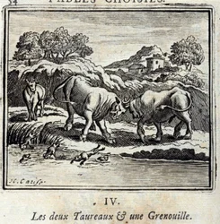 I due tori e una rana