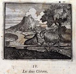 Le due capre. Favole di Jean de La Fontaine (1621-95). Illustrazione di François Chauveau (1613-1676). Edizione del 1728