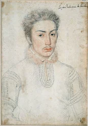 Ritratto di Francesco di Vendôme, vidame di Chartres (1523 - 1560). Disegno a pietra nera e sanguigna di François Clouet (1515-1572)