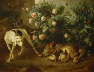 Cane che guarda la selvaggina vicino a un cespuglio di rose
