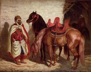 Immagine sconosciuta