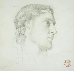 Studio della testa