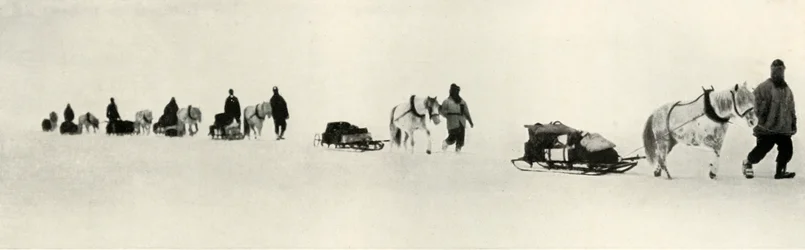 Pony in marcia, 1911, 1913
