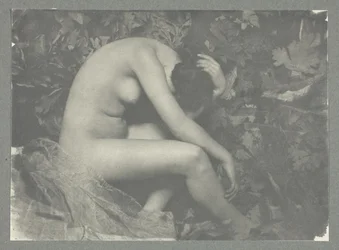 La cicala