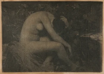 La cicala