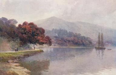 Nuova Zelanda: Pohutukawa in fiore, Whangaroa Harbour