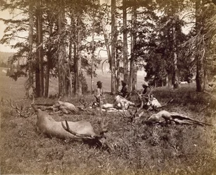 Cacciatori di alci, Yellowstone, c.1880
