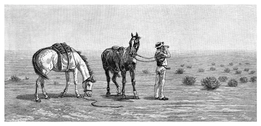 Niente in vista, 1886